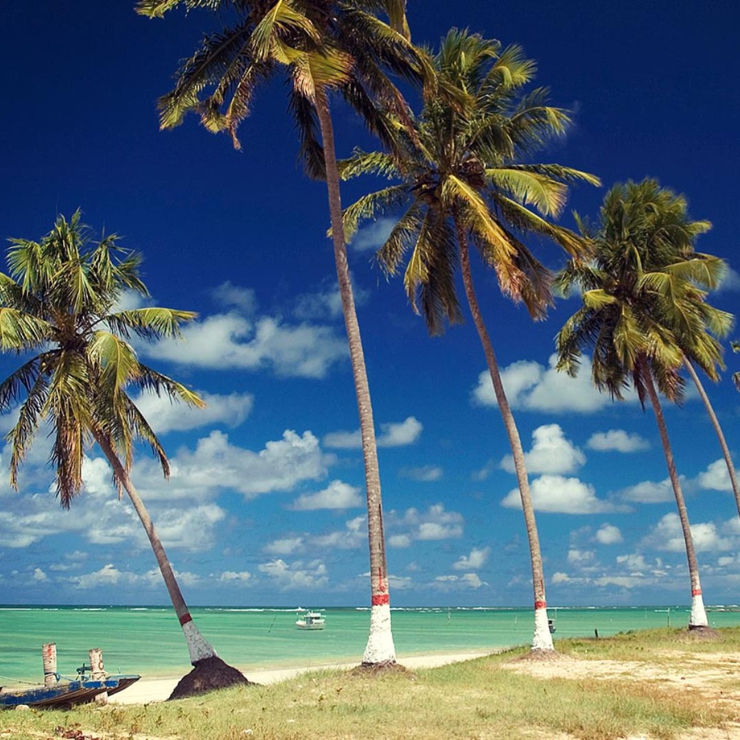 sao-miguel-do-gostoso-beach (1)